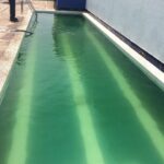 Limpiador de albercas Natur Aqua All in One