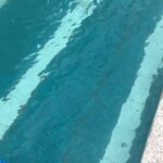 Limpiador de albercas Natur Aqua All in One